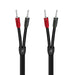 Audioquest Rocket 22 | Câble pour Haut-parleurs - 8 pieds - 2x Banana - Argent - Paire-SONXPLUS.com