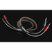 Audioquest Rocket 33 | Câble pour Haut-parleurs - 10 pieds - 2x Banana - Argent - Paire-SONXPLUS.com