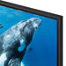 Samsung UN98DU9000FXZC | Téléviseur DEL 98" - Série DU9000 - 4K Crystal UHD - 120Hz - HDR-SONXPLUS.com