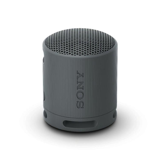 Sony SRS-XB100 | Haut-parleur portatif - Sans fil - Bluetooth - IP67 - Noir-SONXPLUS.com