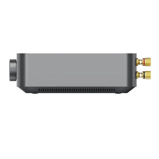WiiM AMP | Streaming Audio - Amplificateur de classe D à 2 canaux de +60W-SONXPLUS.com
